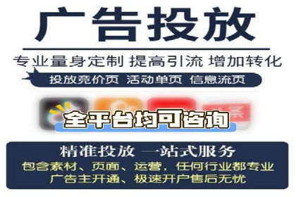 百度广告投放技巧及效果评估案例